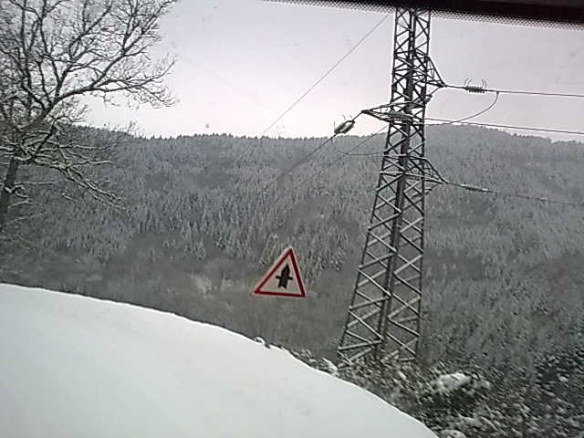 photos de dÇneigement 180.jpg
